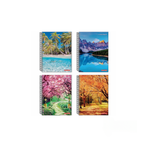 CADERNO 1/4 LINGUAGEM ESPIRAL CAPA DURA 96FLS NEW PAUTA BRANCA